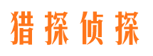 莲湖侦探社